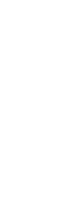 「スパイス」と「うどん」