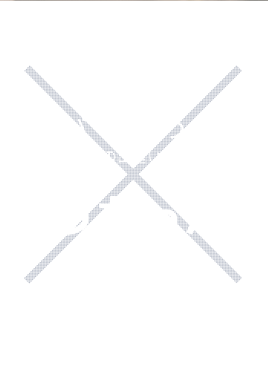 スパイスとうどん の出逢いで どうなった？