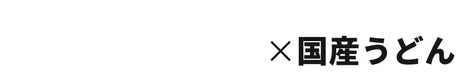 世界のスパイス×国産うどん